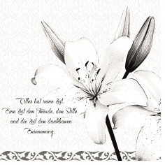 Servítky z netkanej textílie Airlaid, smútočné, 33x33cm, Mank