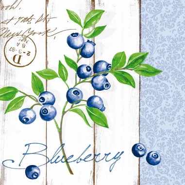 Ubrousky Blueberry z netkané textilie Airlaid, 40x40cm - Mank