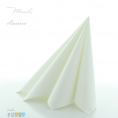 Ubrousky z netkané textílie bílé, 40x40cm 2