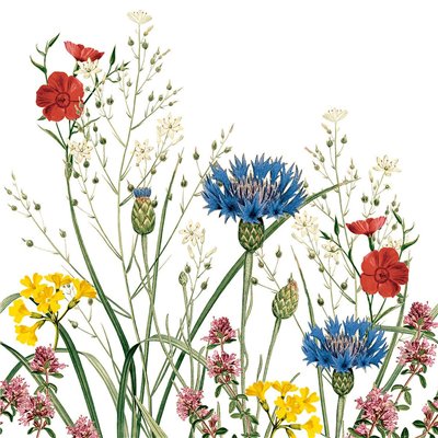 Luxusní květované ubrousky Edith